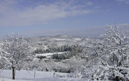 Verger sous la neige - JPEG - 225.5 ko