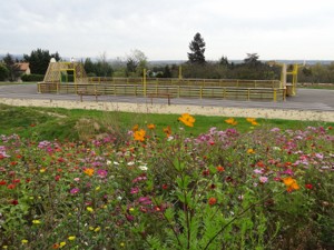 Vue du citypark en période de fleurissement - JPEG - 32.7 ko